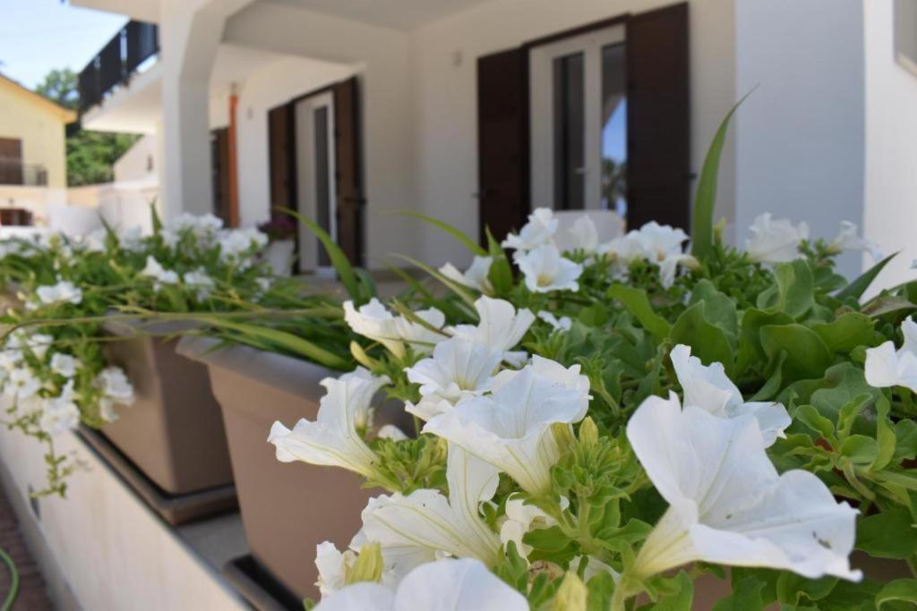 B&B Lastracu Castellammare del Golfo Zewnętrze zdjęcie