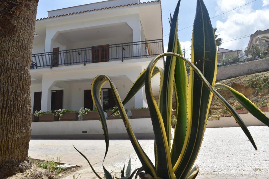 B&B Lastracu Castellammare del Golfo Zewnętrze zdjęcie